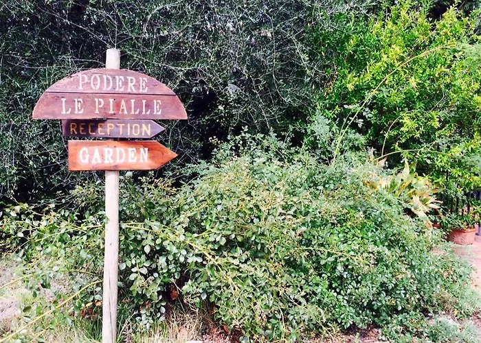 Podere Le PialleAgriturismo